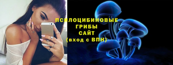гашик Баксан